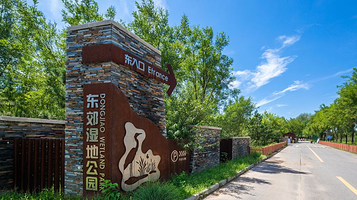 东郊湿地公园
