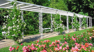 玛格丽特岛玫瑰花园