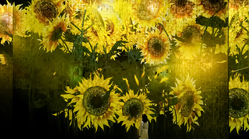 teamLab Biovortex 京都