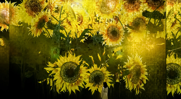 teamLab Biovortex 京都