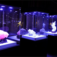 阆中古城地质矿物博览馆