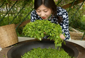 茶溪谷第 107 张图片