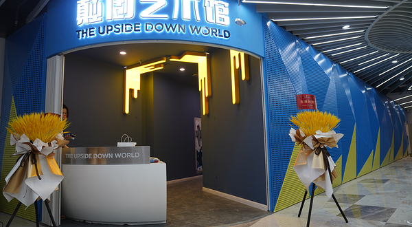 颠倒艺术馆(长沙旗舰店)