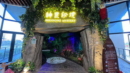 岭南大地百草园第 79 张图片