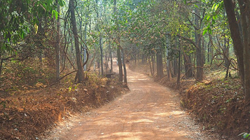 探险者丛林越野俱乐部
