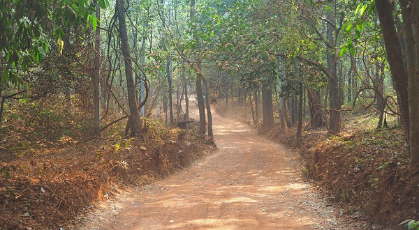 探险者丛林越野俱乐部