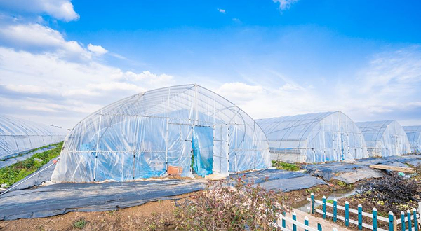 福满庭草莓采摘园