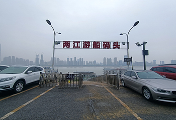 武汉两江游览·苗家码头/武汉关2号码头(夜游长江)第 21 张图片