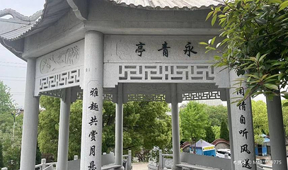 南山公园第 1 张图片