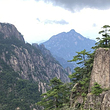 北海景区-团结松