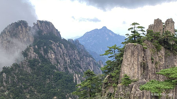 北海景区-团结松