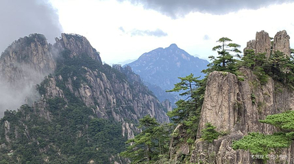 北海景区-团结松第 1 张图片