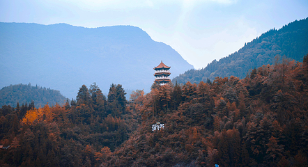 萤飞谷第 1 张图片