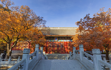 香山公园第 5 张图片