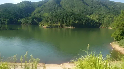 谭水明故里第 1 张图片