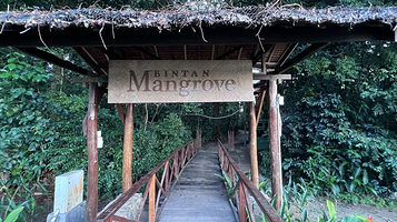Bintan Green Mangrove Tour & Fireflies Night Tour