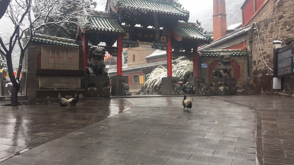玄中寺第 8 张图片