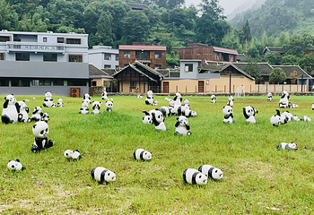 牙溪生态农场第 13 张图片