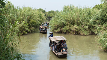 沙家浜国家湿地公园-芦苇迷宫