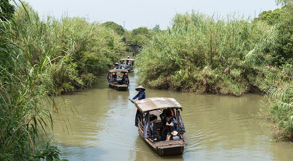 沙家浜国家湿地公园-芦苇迷宫