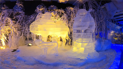 台儿庄梦幻冰雪大世界第 5 张图片