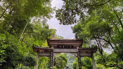 圣灯山森林公园第 1 张图片