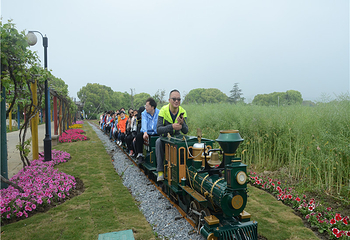 西山岛开心农场第 44 张图片
