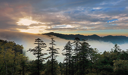 神农顶风景区第 51 张图片