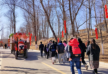 恋乡农场(玉米冒险村)第 50 张图片