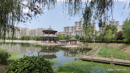 城南公园第 1 张图片