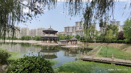 城南公园第 6 张图片