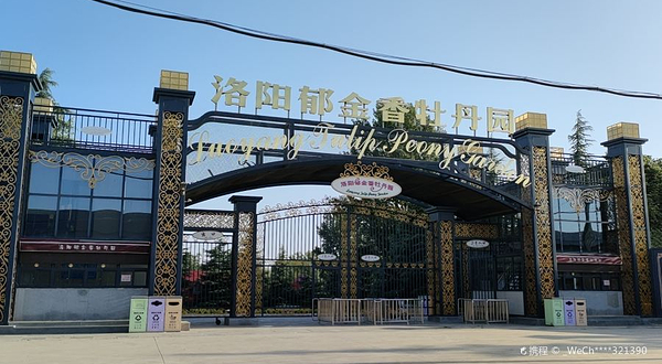 洛阳郁金香花园-郁金香生态园
