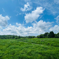 大石头亚光湖国家湿地公园