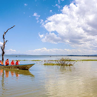 瓦塔穆船游纳瓦沙