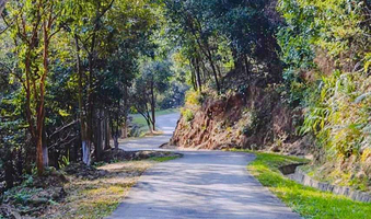 绥芬河国家森林公园