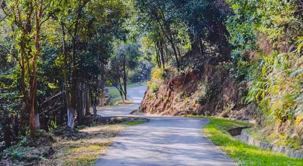 绥芬河国家森林公园