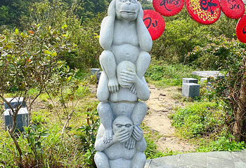 山茶半岛第 37 张图片