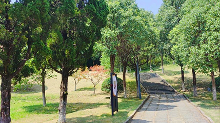 共青城富华山旅游区第 1 张图片