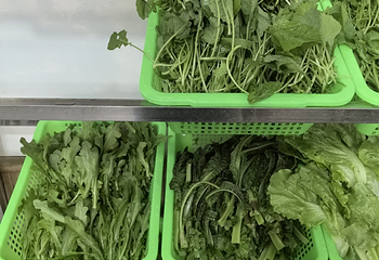 砂锅莊豆米火锅第 8 张图片