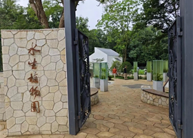 水生植物园