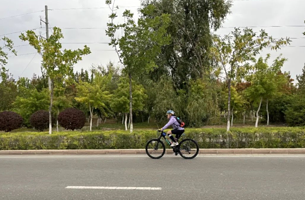 阿尔泰山水骑游