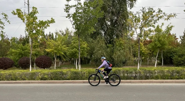 阿尔泰山水骑游