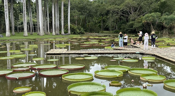 中国科学院西双版纳热带植物园-水生植物园站