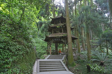 青城前山第 15 张图片