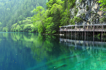 九寨沟风景区第 541 张图片