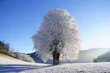 云阳龙缸滑雪场第 4 张图片