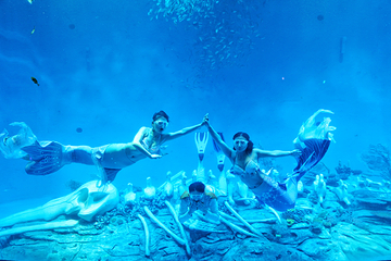 合肥海洋世界第 20 张图片