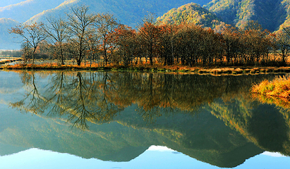 大九湖国家湿地公园第 23 张图片