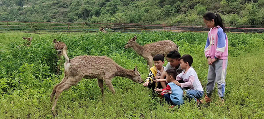 十里荷廊风景区第 11 张图片