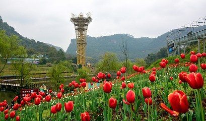 清溪谷旅游区-花田酒地景区第 62 张图片
